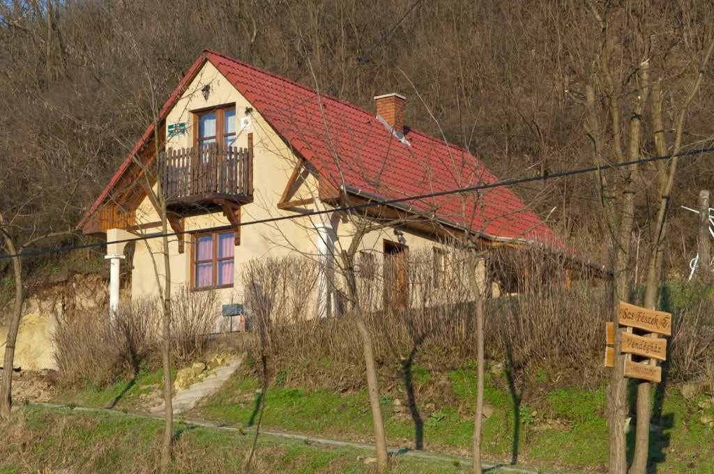 Apartmán Sas-Feszek Vendeghaz Demjén Exteriér fotografie